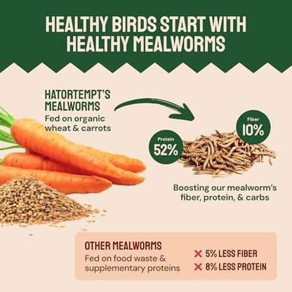 Dried Mealworms for Wild Birds 2 lbs – Non GMO High Protein Mealworms for Chickens and Laying Hens - Turtle Food - Chicken Feed