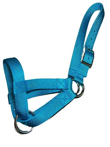 Cattle Halter Newborn Calf Yearling Cow Bull (Yearling, Turquois)
