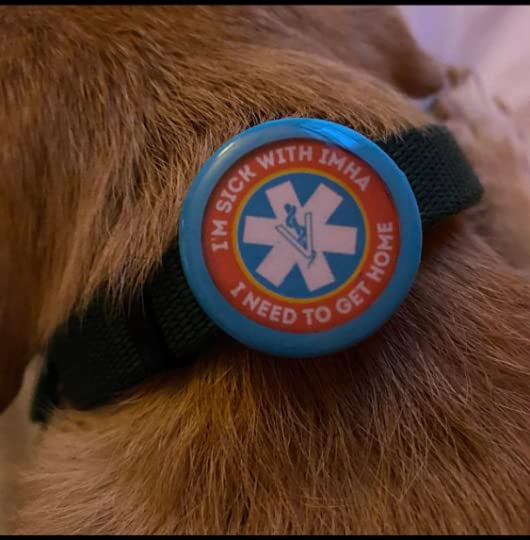 Medical Alert Pet ID Tag for Dogs and Cats Cute Design IVDD IMHA Diabetic Epileptic Blind Deaf Allergy