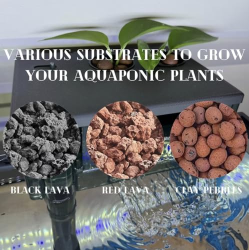 AquaClear Series Planter Lids / 2" Pots/Various Substrate Options/Fully Customizable/Compatible with Fluval AquaClear Filters (AquaClear 50/1 Pot, Clay Pebbles Substrate, Transparent White)
