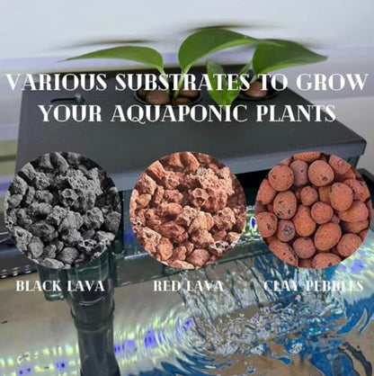 AquaClear Series Planter Lids / 2" Pots/Various Substrate Options/Fully Customizable/Compatible with Fluval AquaClear Filters (AquaClear 50/1 Pot, Clay Pebbles Substrate, Transparent White)