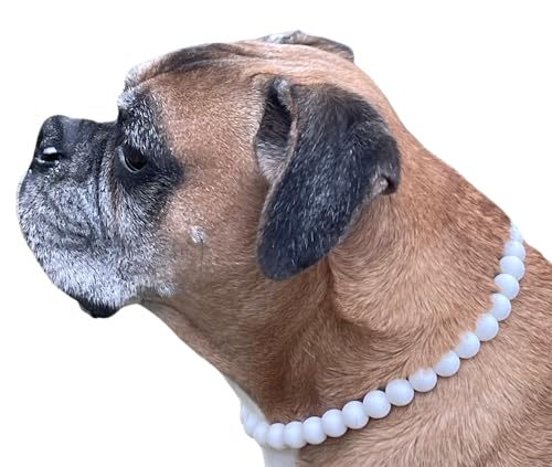 Dog Necklace (Small (15"), Solid, White)