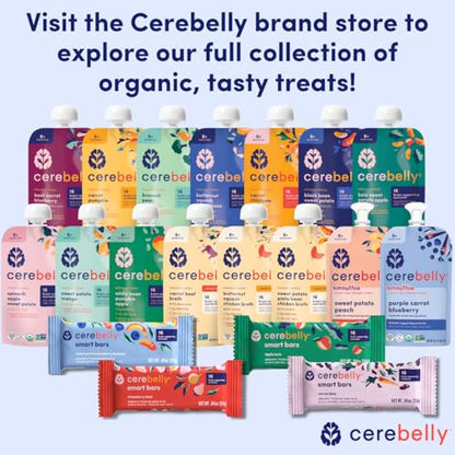Cerebelly Organic Baby Food Pouches – Organic Veggie Purees for Toddlers | No Added Sugar, Fiber, Non-GMO | Blended Toddler Food | 4oz BPA-Free Baby Food | Carrot Pumpkin | 12 Count