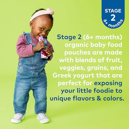 Plum Organics Stage 2 Organic Baby Food - Fruit and Veggie Variety Pack - 4 oz Pouch (Pack of 18) - Organic Fruit and Vegetable Baby Food Pouch