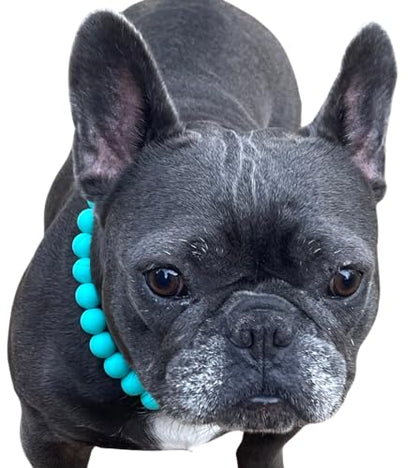 Dog Necklace (Large (21"), Solid, Turquoise)