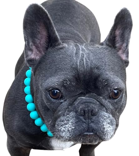Dog Necklace (Large (21"), Solid, Turquoise)