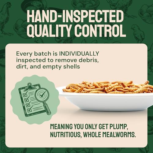 Dried Mealworms for Wild Birds 2 lbs – Non GMO High Protein Mealworms for Chickens and Laying Hens - Turtle Food - Chicken Feed