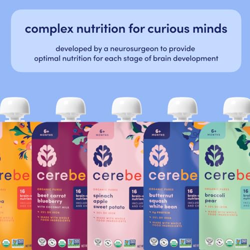 Cerebelly Baby Food Pouches – Organic Dairy Free Smoothies for Toddlers | No Added Sugar, Fiber, Non-GMO | Baby Smoothie Pouches | 4 Ounce BPA-Free Pouch | Purple Carrot Blueberry Smoothie | 12 Count