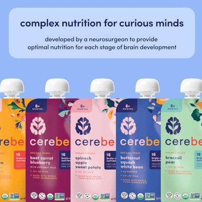 Cerebelly Baby Food Pouches – Organic Dairy Free Smoothies for Toddlers | No Added Sugar, Fiber, Non-GMO | Baby Smoothie Pouches | 4 Ounce BPA-Free Pouch | Purple Carrot Blueberry Smoothie | 12 Count