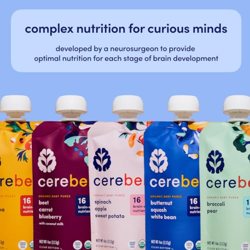 Cerebelly Organic Baby Food Pouches – Dairy Free Smoothies for Toddlers | No Added Sugar, Fiber, Non-GMO | Toddler Smoothie Pouches | 4oz BPA-Free Baby Food | Purple Carrot Blueberry | 6 Count