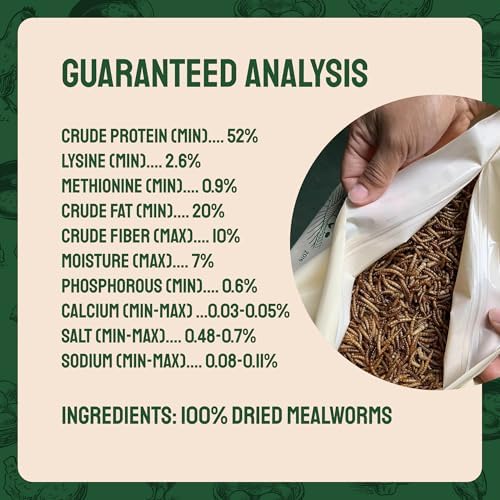 Dried Mealworms for Wild Birds 2 lbs – Non GMO High Protein Mealworms for Chickens and Laying Hens - Turtle Food - Chicken Feed