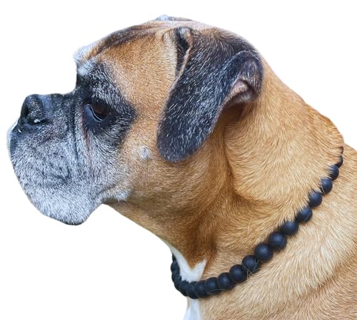 Dog Necklace (X-Small (12"), Solid, Black)