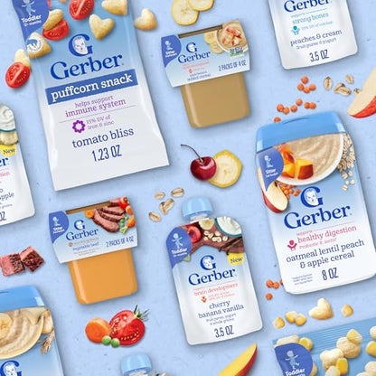 Gerber Baby Food 2nd Foods, Dinner, Chicken Noodle Puree, 4 Ounce Tubs, 2-Pack (Pack of 8)