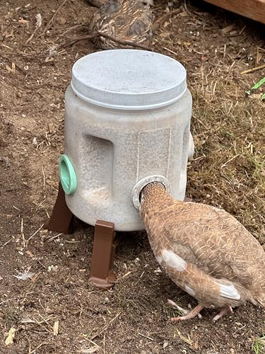 Quail Feeder Container with Feeding Ports and Stand | Ports are 3D Printed | Made in USA (4-Quart, Mint Green)