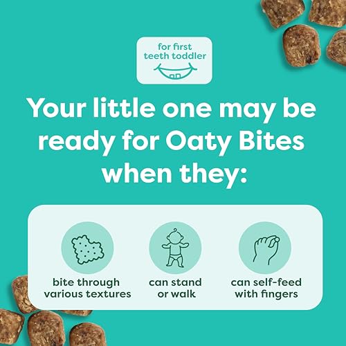 Beech-Nut Toddler Snacks, Oaty Bites with Fruit & Whole Grains, Mixed Berry Toddler Snack Bites for Toddlers 12 Months & Older, Pack of 6 Boxes (42 single-serve bags)