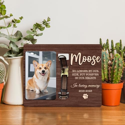 Pet Collar Memorial Frame with Photo, Dog Collar Memorial Frame, Dog Memorial Gifts for Loss Of Dog, Pet Bereavement Gifts, Pet Memorial, Dog Lover Gift