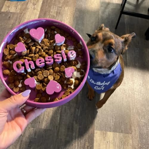 Custom Slow Feeder Dog Bowl - Personalized Dog Bowl with Name - Ideal Slow Feeder for Large and Small Breeds - Unique Design for Healthy Eating