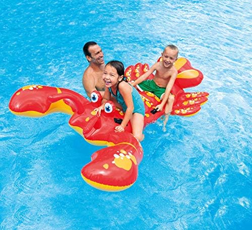 INTEX Inflatable Pool Float: Pool Toy for Kids
