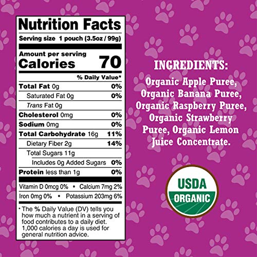 Paw Patrol Really Raspberry Organic Mixed Fruit Squeeze Pouch, 3.5 Ounce (Pack of 10)