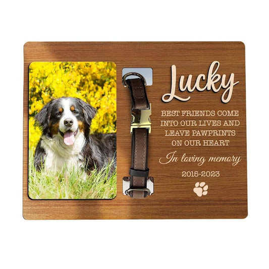 Pet Collar Memorial Frame with Photo, Dog Collar Memorial Frame, Dog Memorial Gifts for Loss Of Dog, Pet Bereavement Gifts, Pet Memorial, Dog Lover Gift