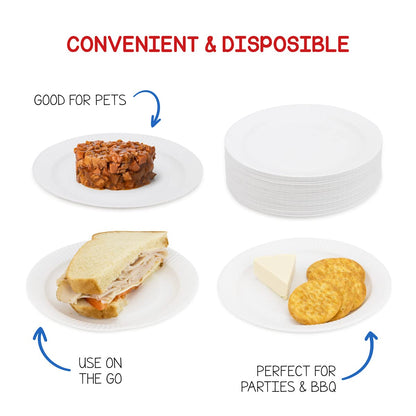 Hygloss Products Paper Plates - Uncoated White Plate - Use for Foodware, Events, Activities, Crafts Projects and More - Environmentally Friendly - Recyclable and Disposable - 9-Inches - 200 Pack