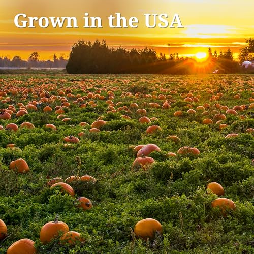Farmer's Market Organic Pumpkin Puree, 15 Ounce (Pack of 12)