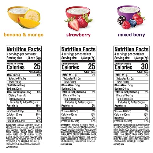 Happy Baby Organics Yogis Freeze-Dried Yogurt & Fruit Snacks, Variety Pack (Pack of 6) & Teether, 3 Flavor Variety Pack, 12 Count (Pack of 3)